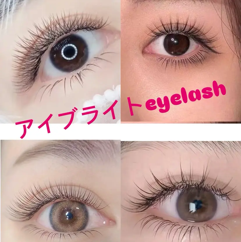 柏 木の掲載