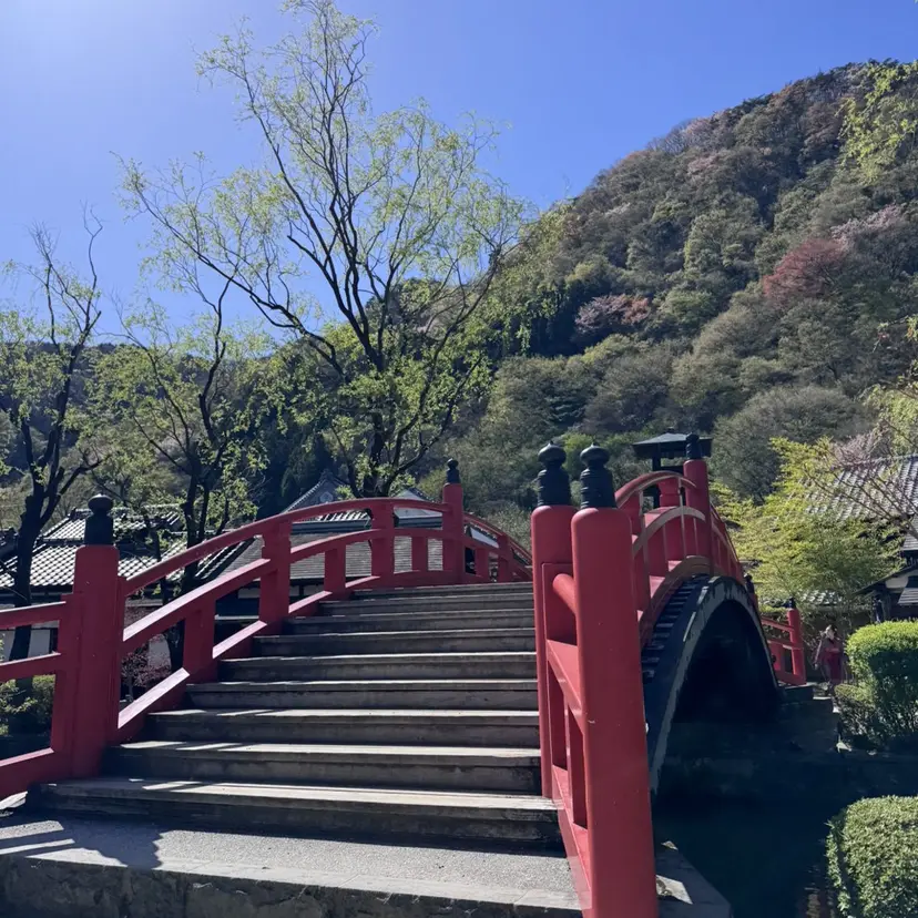 内田 愛莉の掲載