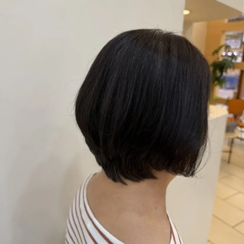 いまい しずかの掲載