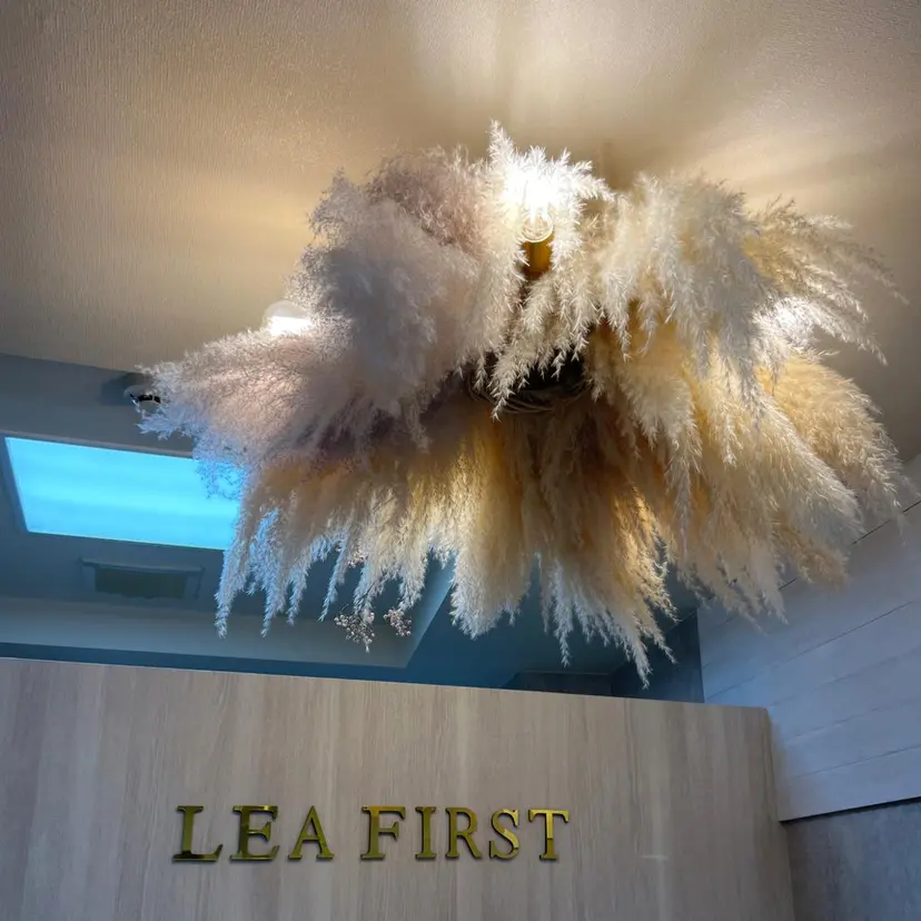 Le'a firstの掲載