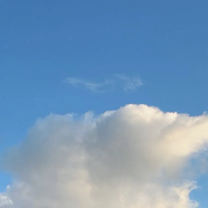 メンズ毛流れ縮毛矯正 🎀さくら🎀の掲載