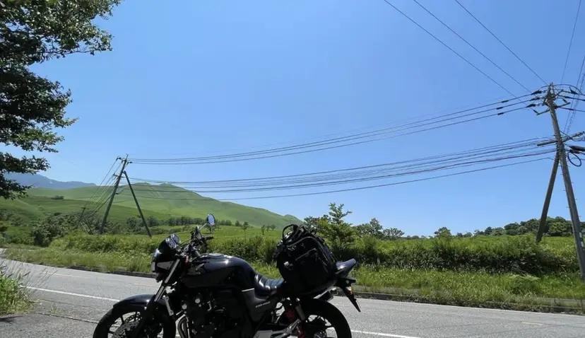 藤井 啓杜の掲載