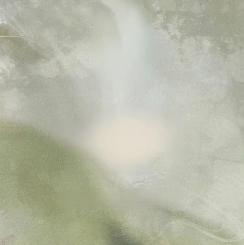 堀尾 早紀の掲載