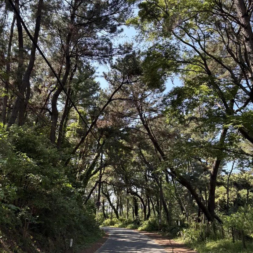 水江 基の掲載