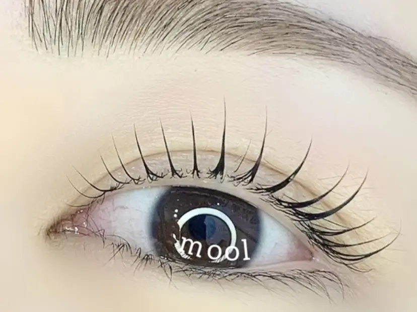 MOOL eyelashの掲載