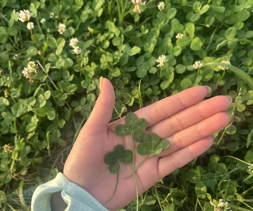 透明感艶カラー /自由が丘🌼ひなたの掲載