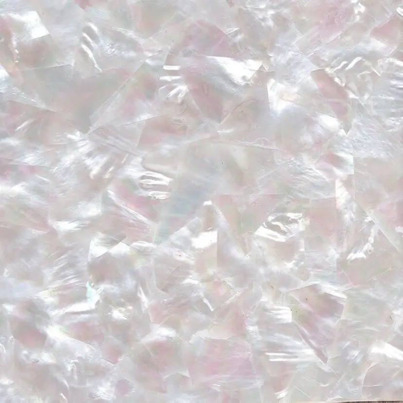 shell kanadeの掲載