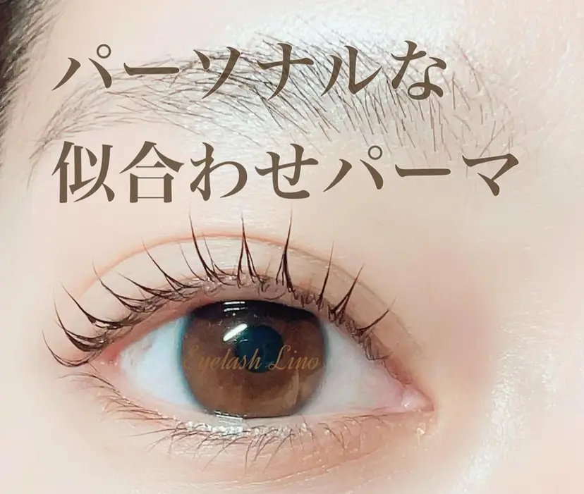 Eyelash Linoの掲載