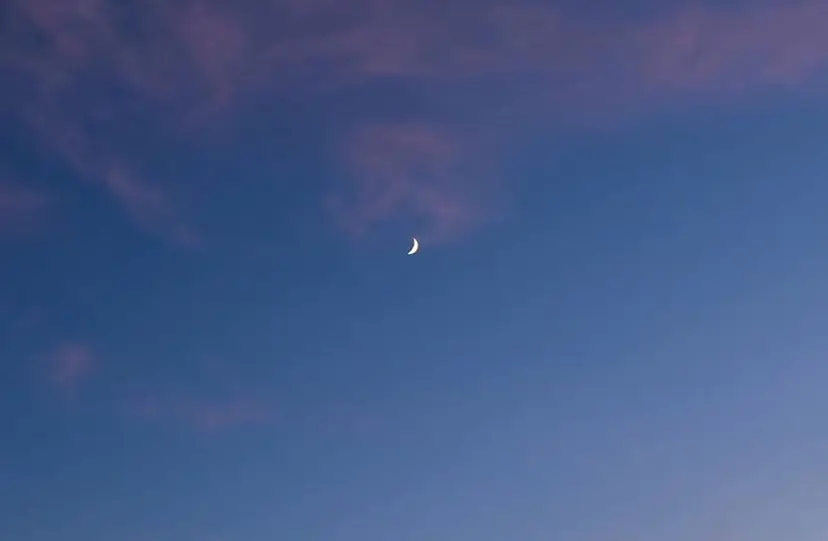 DEW LUNAの掲載