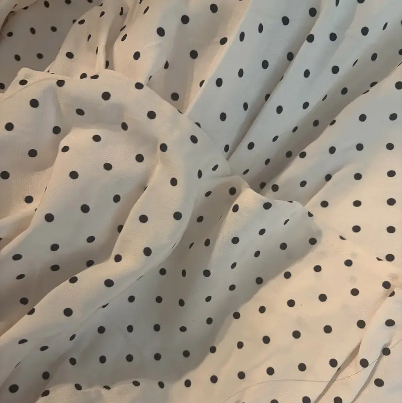 今村 心音の掲載