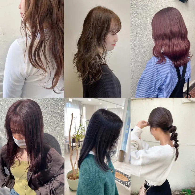中堀 遥の掲載