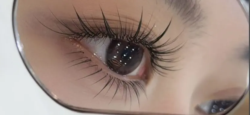 Max salonの掲載