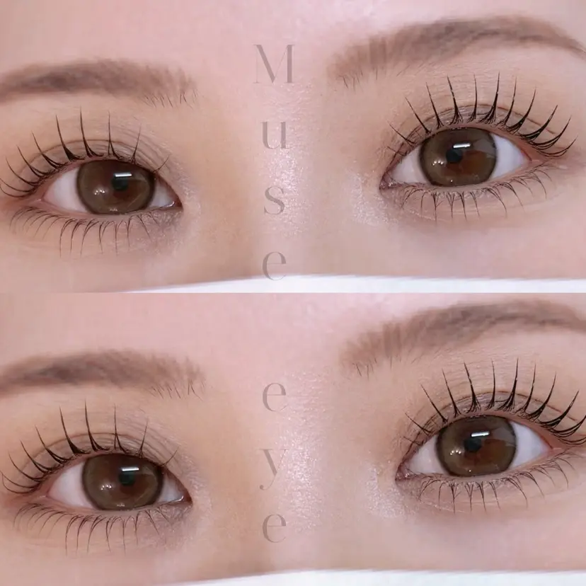 Muse eye 中目黒/韓国まつ毛の掲載