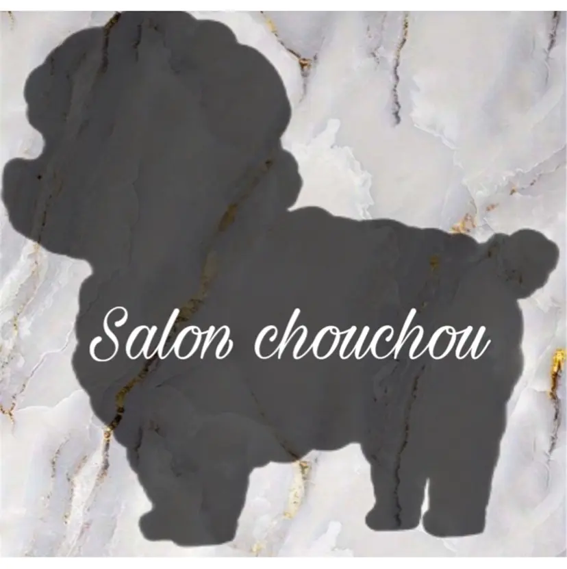 salon Chouchouの掲載