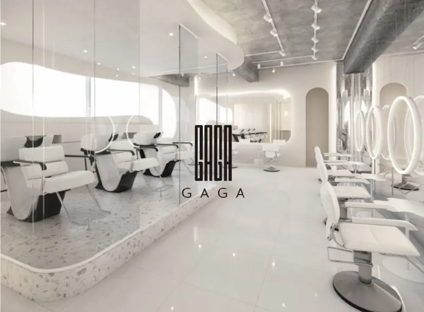 GAGA Hinaの掲載