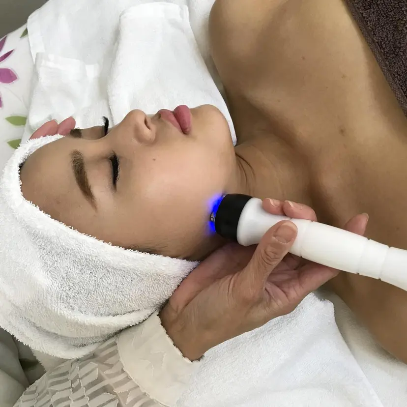N 蘭の掲載