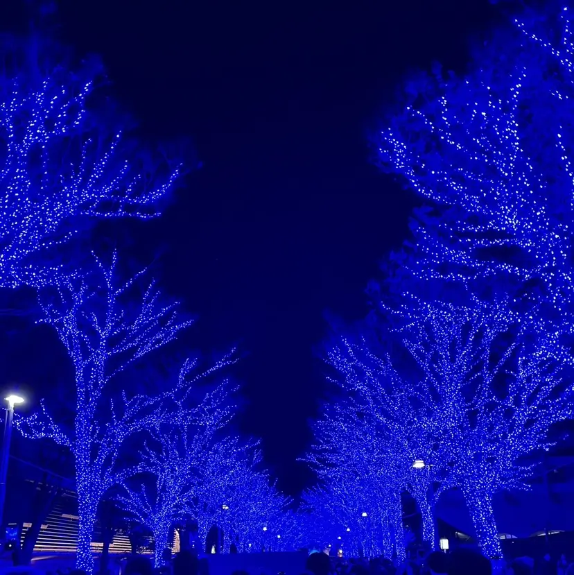 Cyntia  渋谷 なみ⋆˚꩜｡の掲載