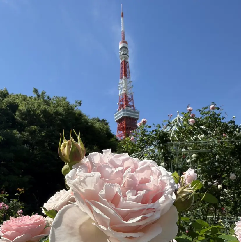 ♥️Ji Ji♥️の掲載