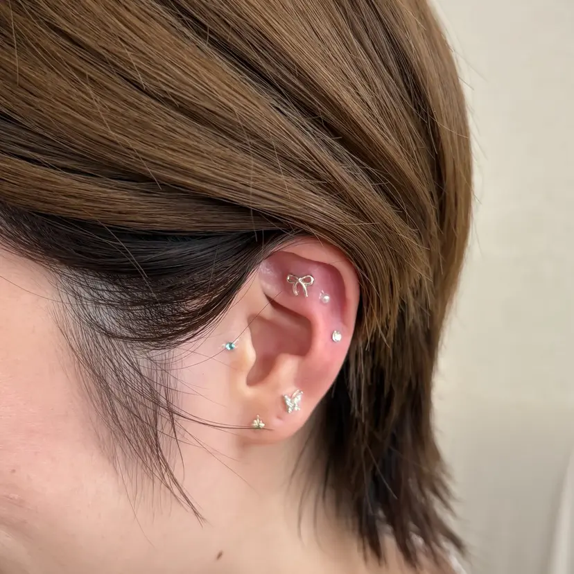 nuvi .の掲載