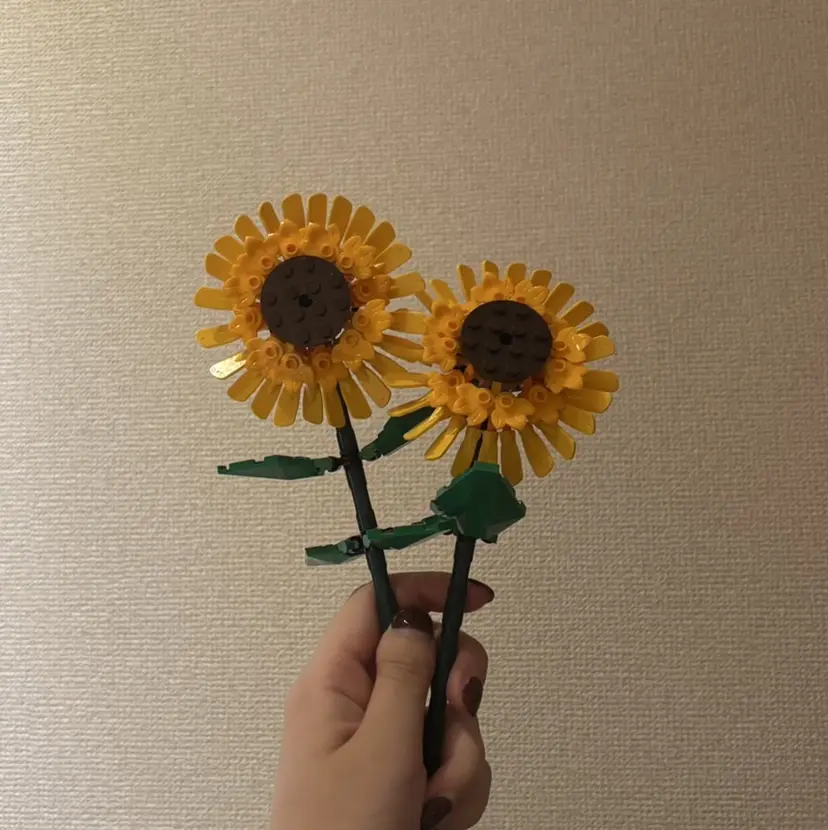 0円モデル🌷 🫧Akariの掲載