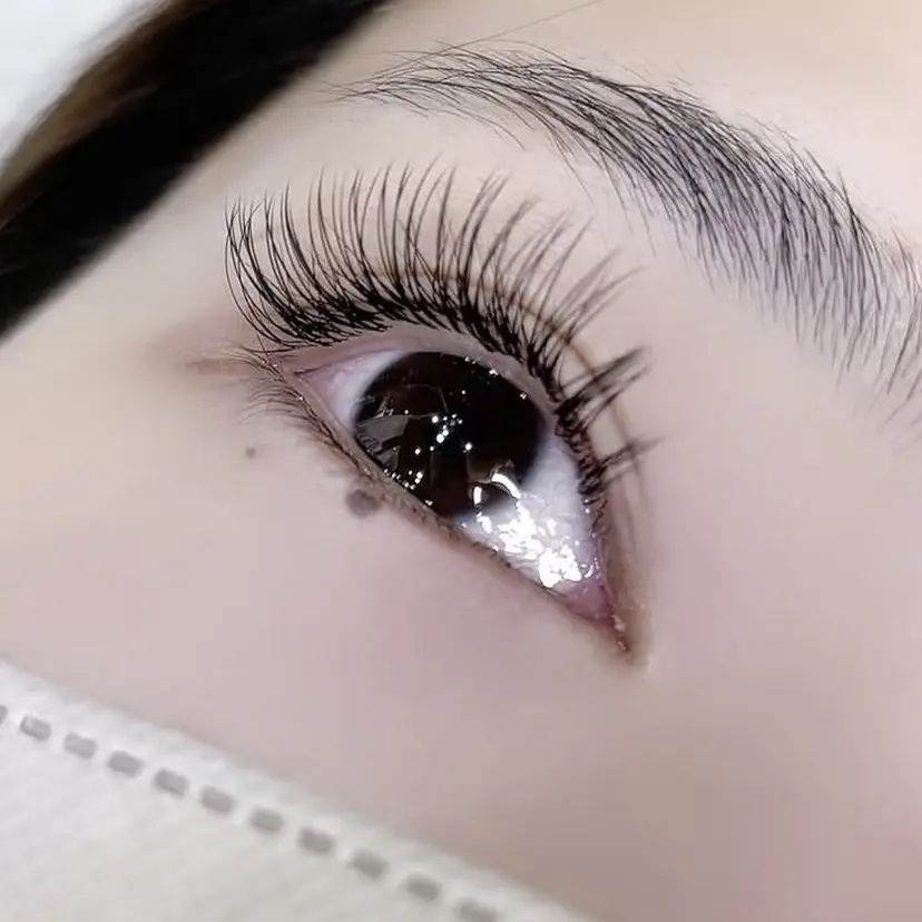 Silvi 愛良の掲載