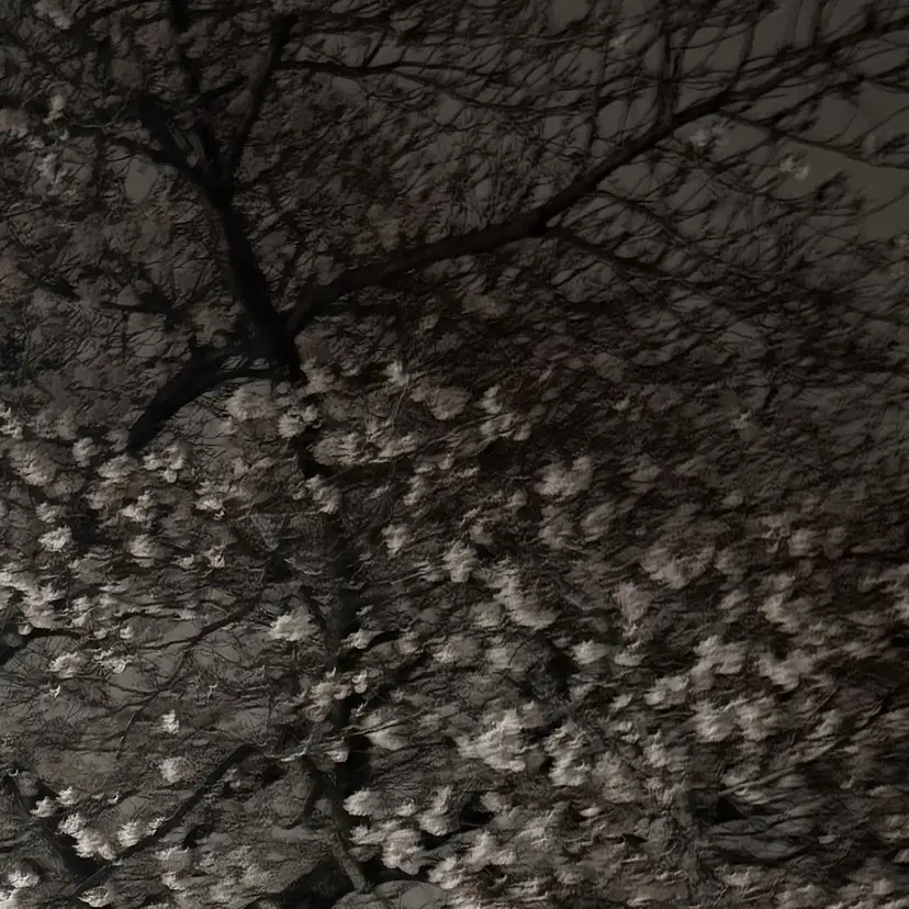 SHIAN立川 ✿ まほの掲載