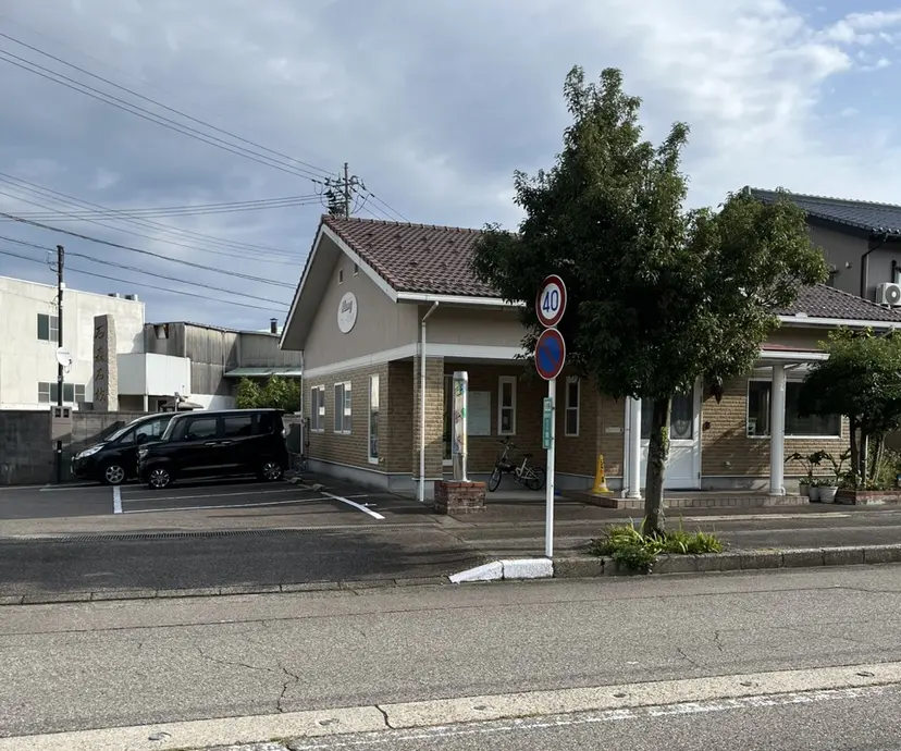藤崎 光の掲載
