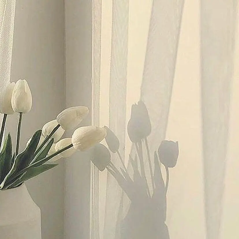 SAYAKA 🌼の掲載