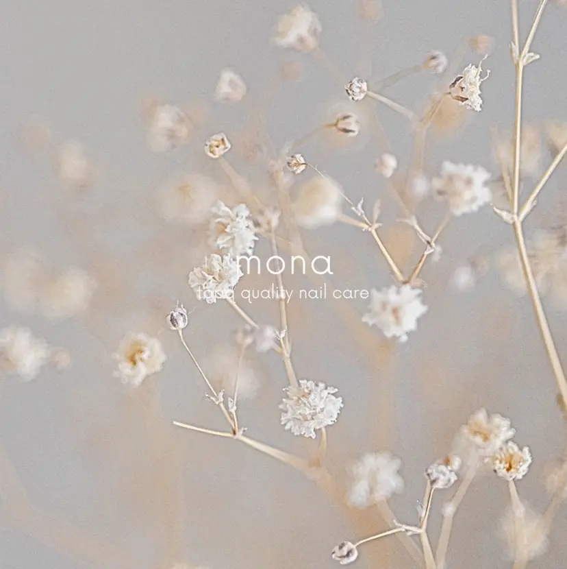 mona .misaの掲載