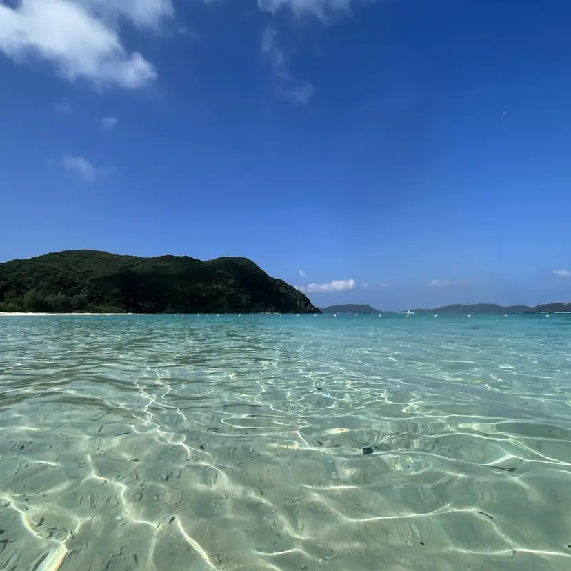 ✅髪質改善/縮毛矯正 /ヤマモト トキオ✅の掲載