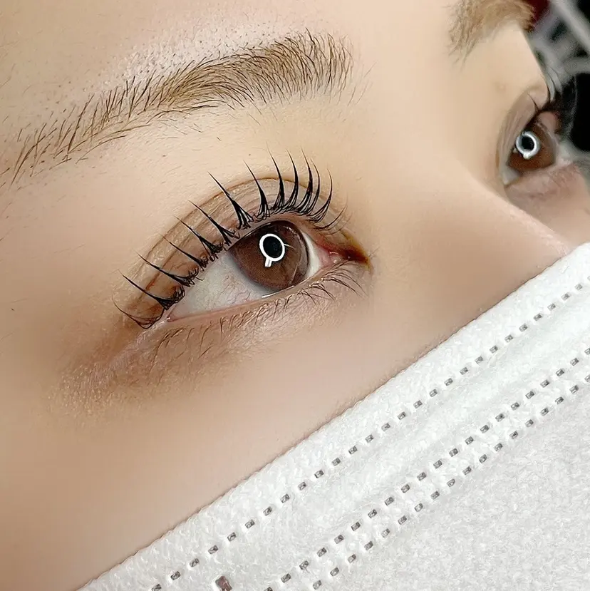 Lily Eyelashの掲載