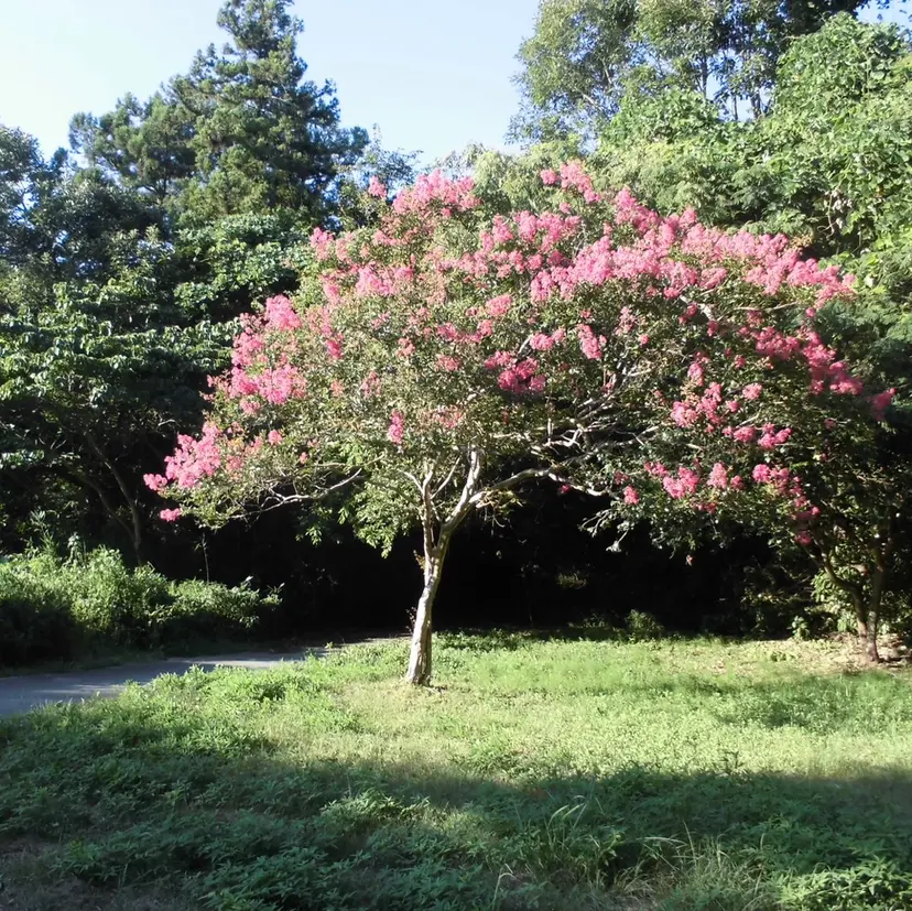 nui【茨木】 久木 駿介の掲載