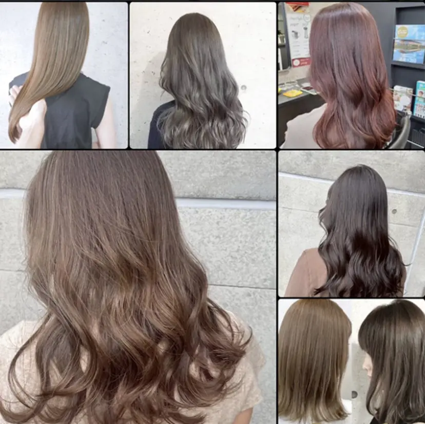 REINA Day&Nightの掲載