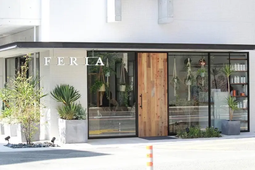 FERIAあべの店 瀧本岬の掲載