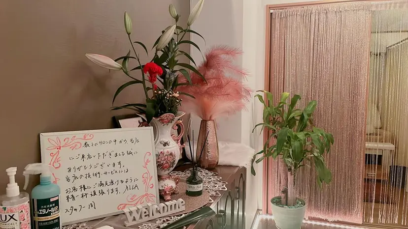 AILA AILAの掲載