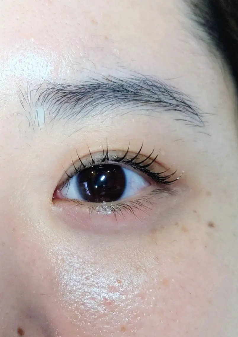 佐藤 望の掲載