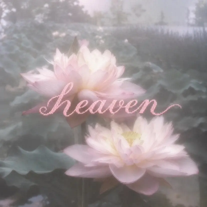 ꒰ঌheaven໒꒱ chieの掲載