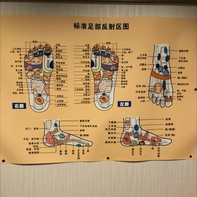 川崎 桜の掲載