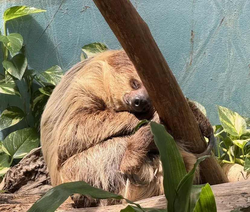 ミキ🐈‍⬛ 鎌倉の掲載