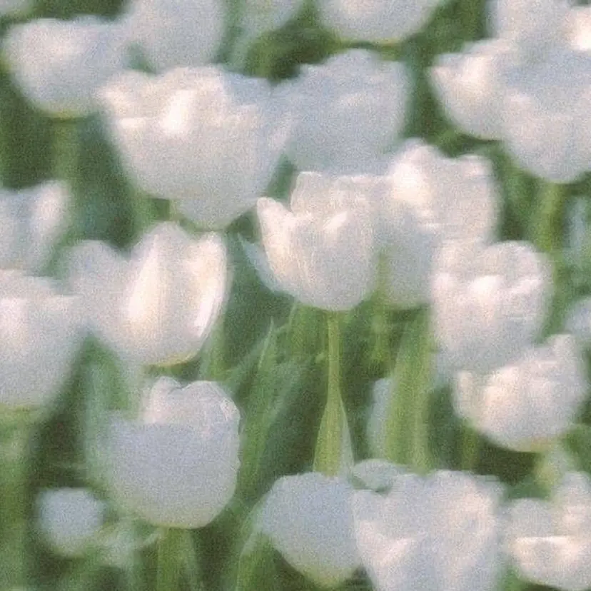 樋口 ななみの掲載