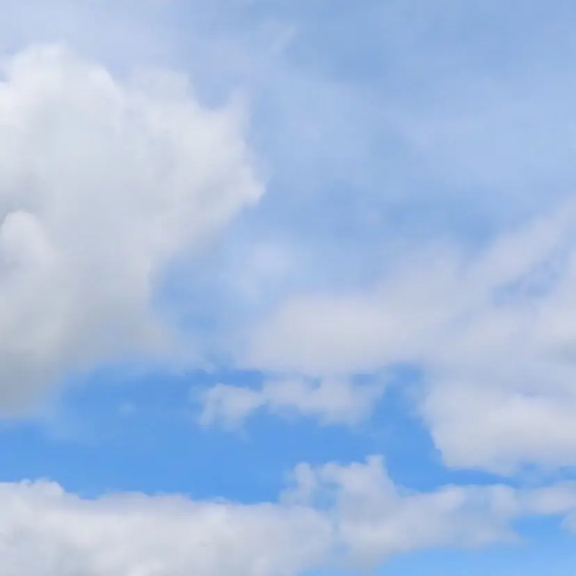 梅田 メンズWカラー 大畑 蒼空の掲載
