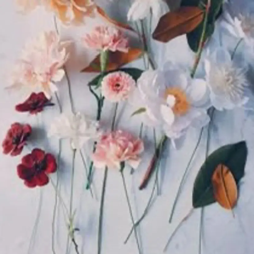 東 菜月の掲載
