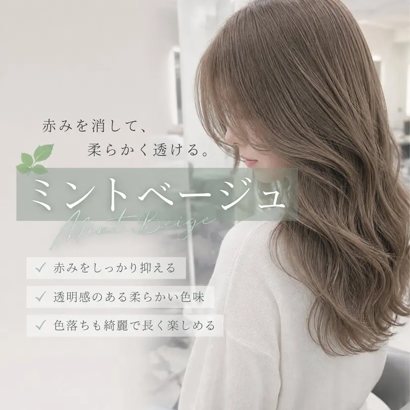 🤍ミントベージュ 特化🩵ᩚ力丸🤍の掲載