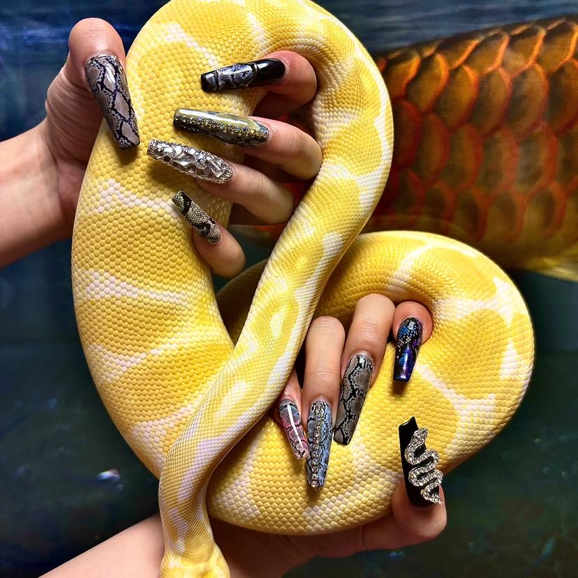 Be Rac 🖤🐍🦋🥀の掲載