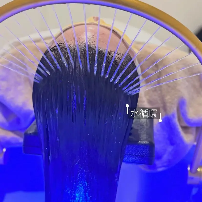 陳 燕の掲載