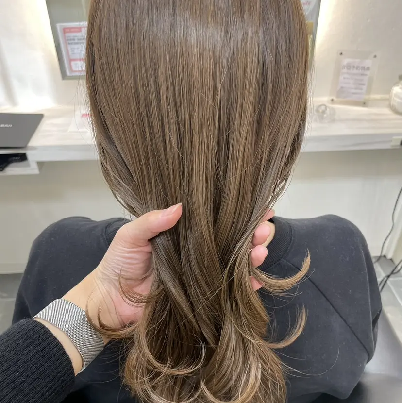 堀 春奈の掲載