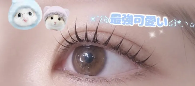 みょこん /eyeの掲載