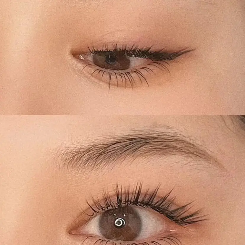 EILIS& EYEの掲載