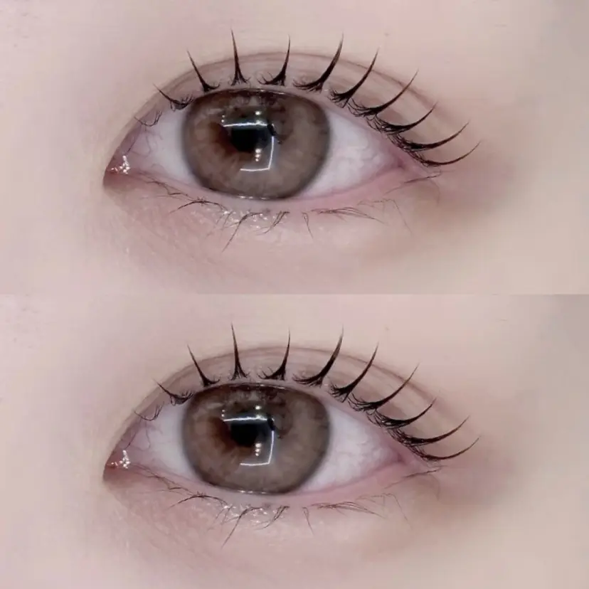 eyelash lotusの掲載