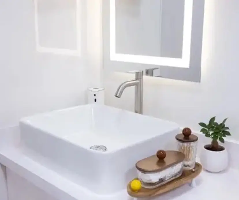 Li saの掲載
